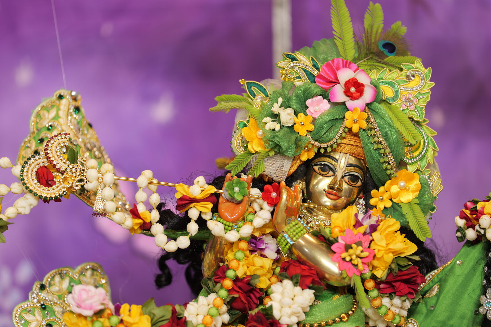 Close-up darshan of Sri Dwarkadish
