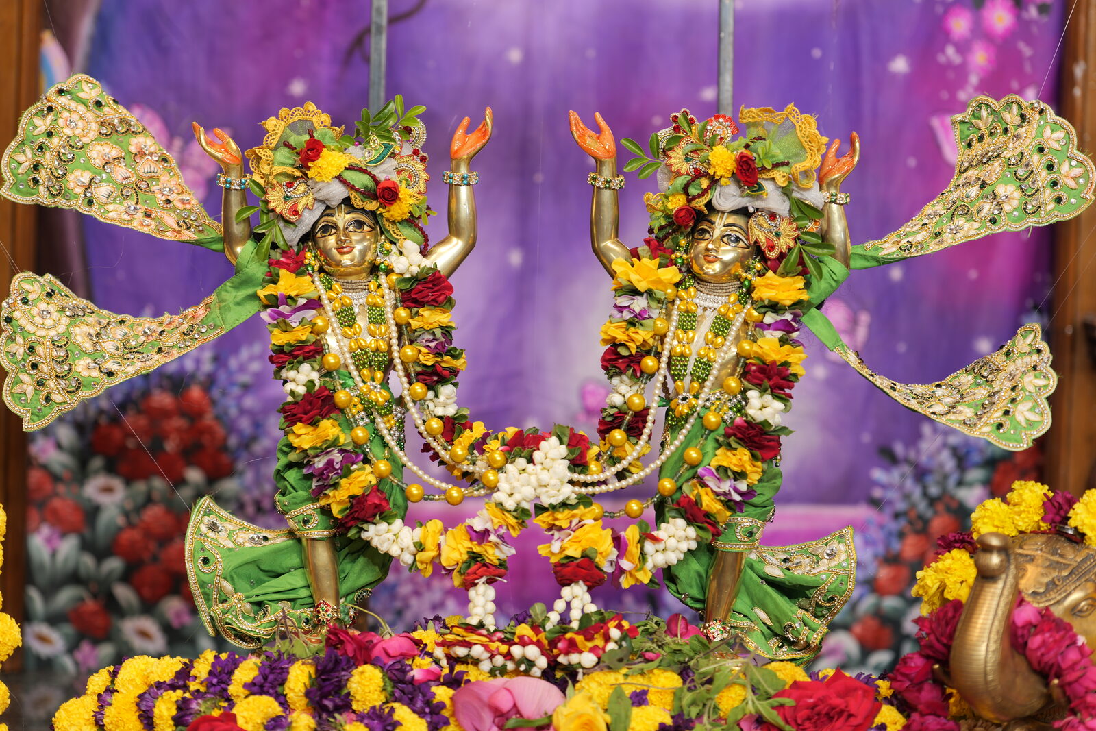 Sri Sri Gaur Nitai deity darshan