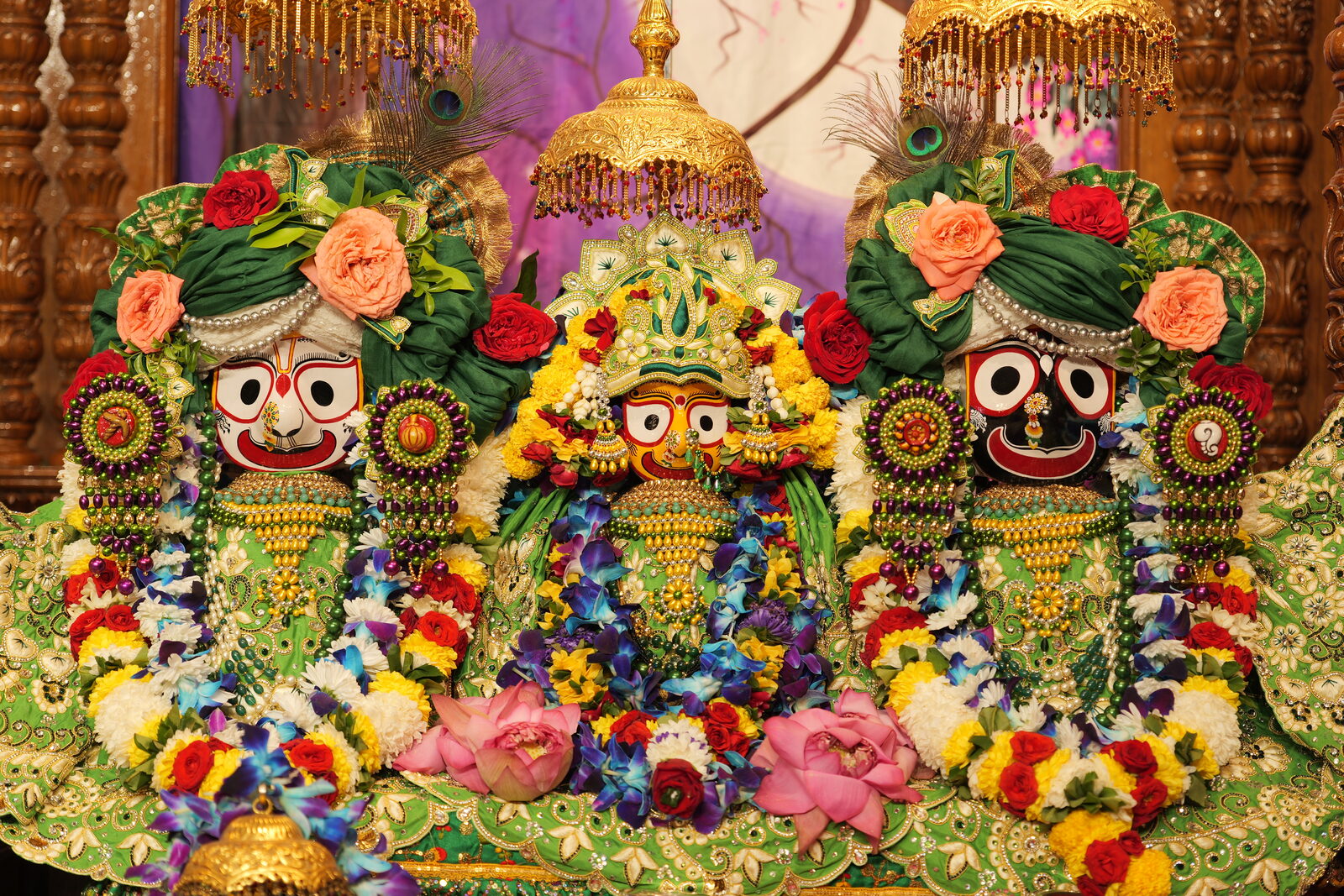 Sri Sri Jagannath Baldeva Subhadra deity darshan