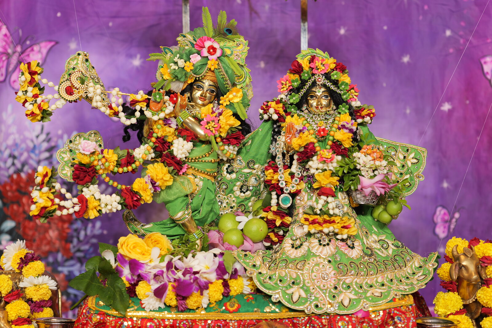 Sri Sri Rukmini Dwarkadish deity darshan